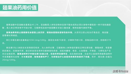 每轻松翅果油含片 开创减压稳压新篇章